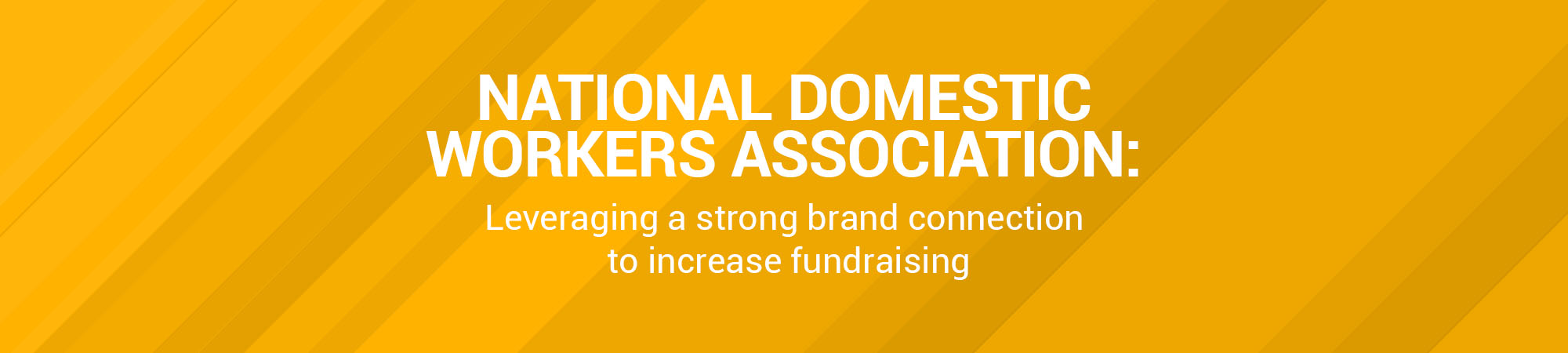 Non-profit event planning and fundraising gala for NDWA