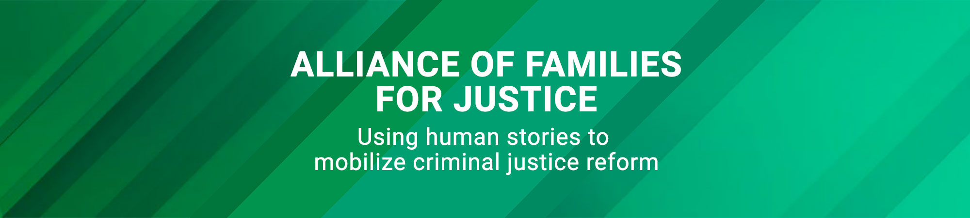 Alliance of Families For Justice Banner in green